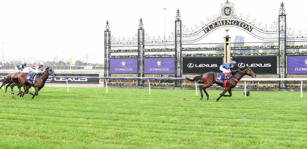 Steparty impressive down the Flemington straight | Latest News | VRC