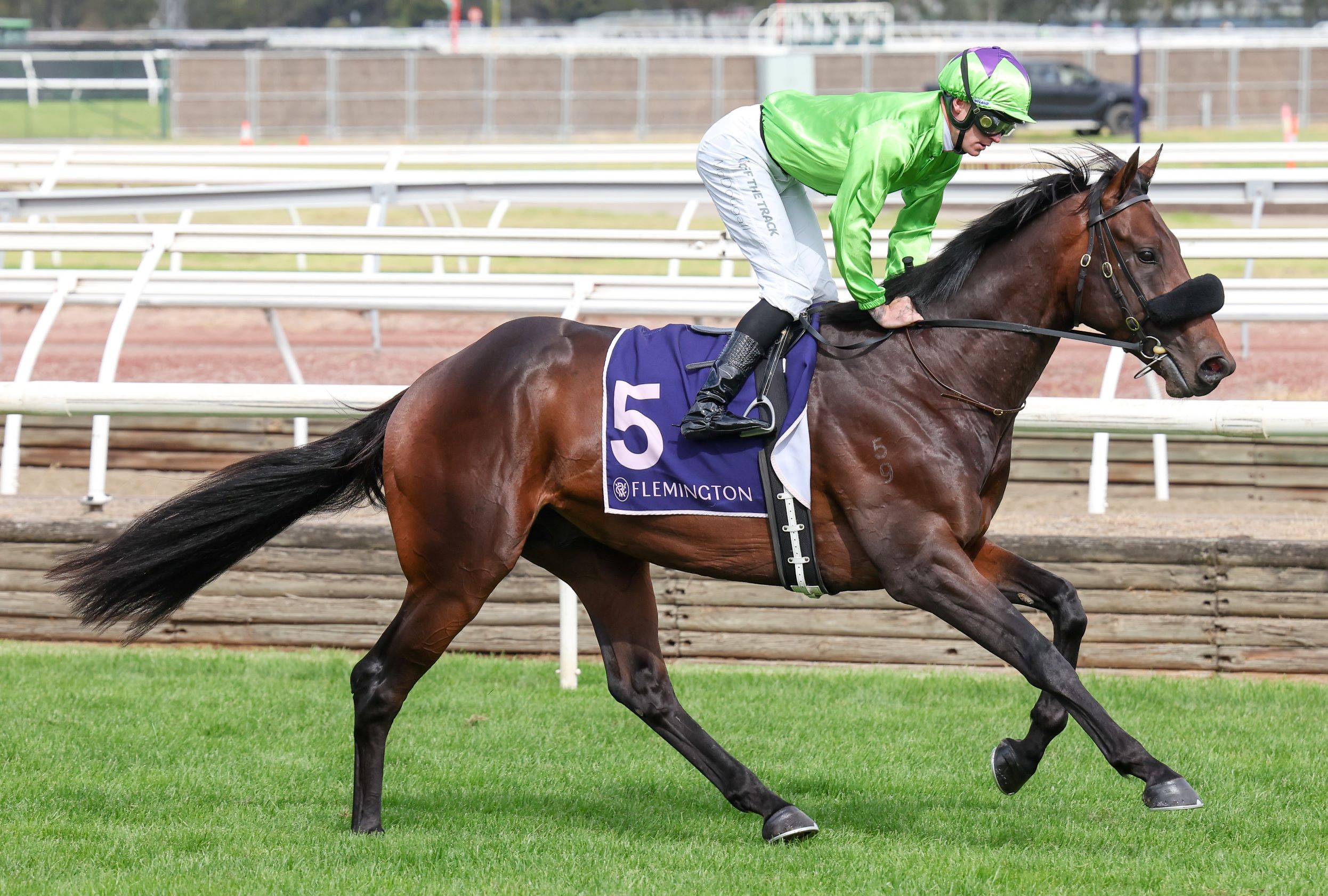 3YOs chase place among Australian Cup elite