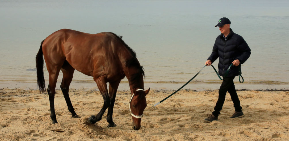 New faces at Flemington stables