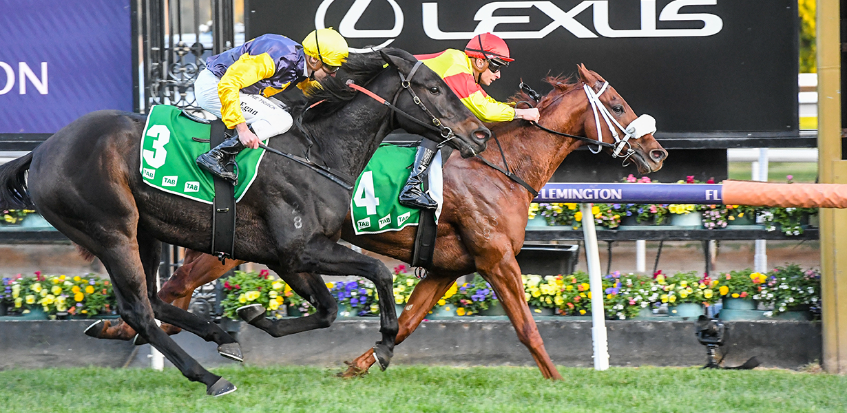 Flemington Finals Race Day Race Days Victoria Racing Club