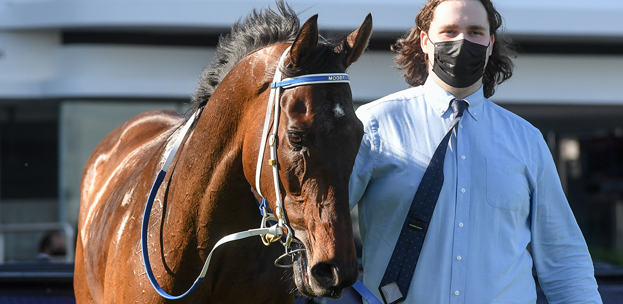 2021 Lexus Melbourne Cup Field and Barriers Announced