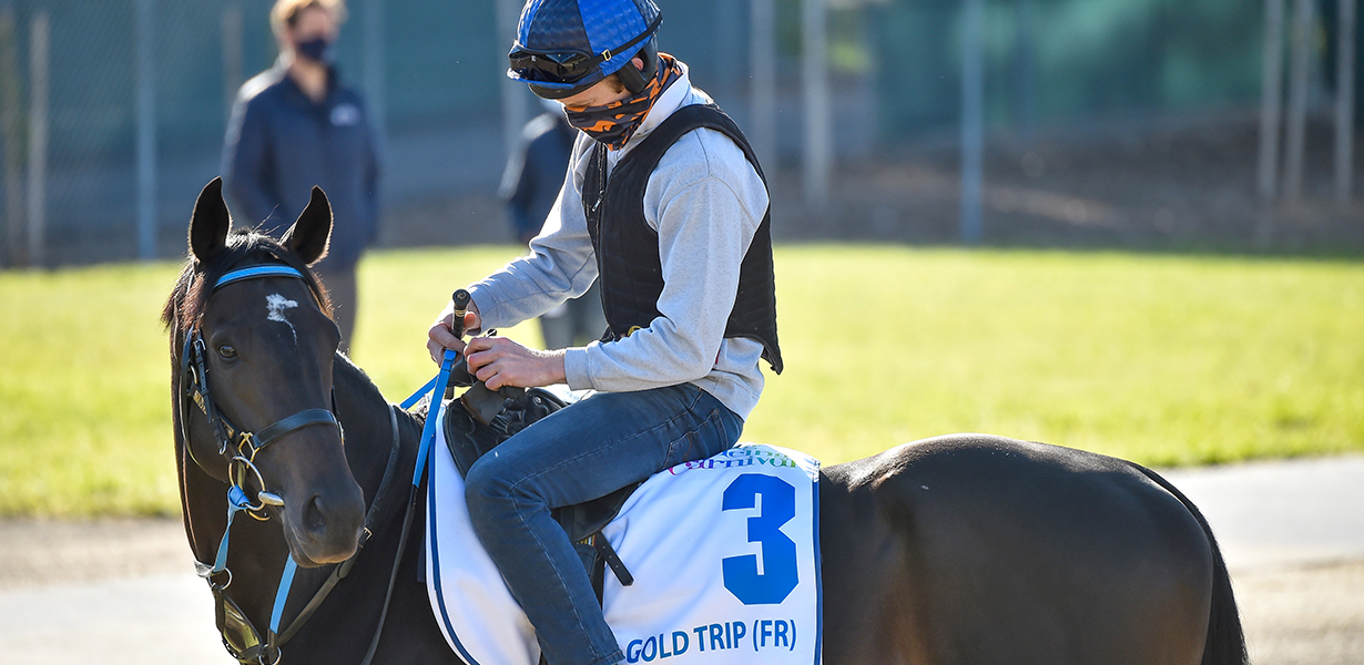 Lexus Melbourne Cup Nominee Lands In Melbourne