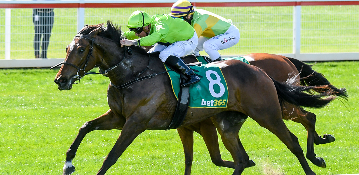 Tralee Rose out to make history in the Lexus Melbourne Cup